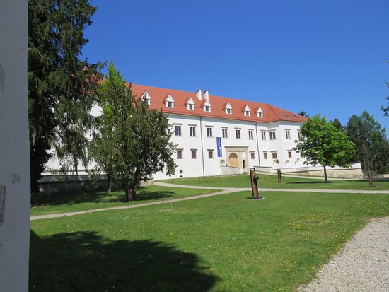 Negova